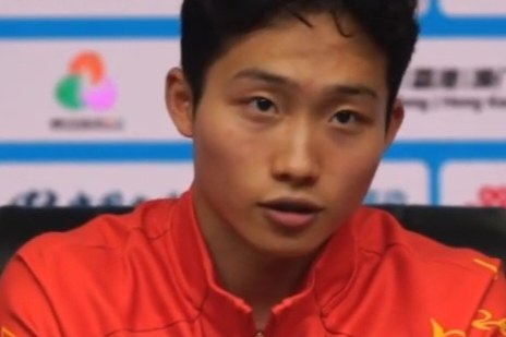 耐力赛马具深度测评：性能、适配与性价比之选